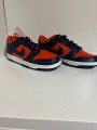 Nike dunk low champ colors