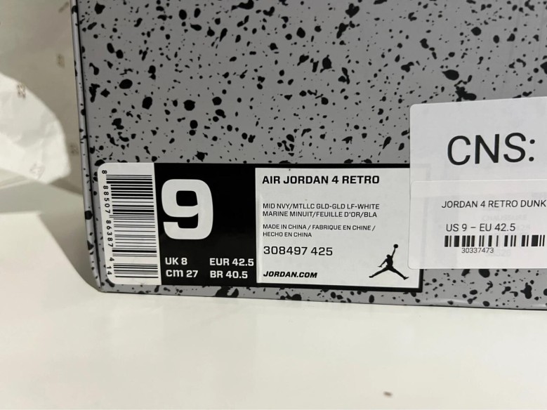 Nike Air Jordan 4 Dunk From Above
