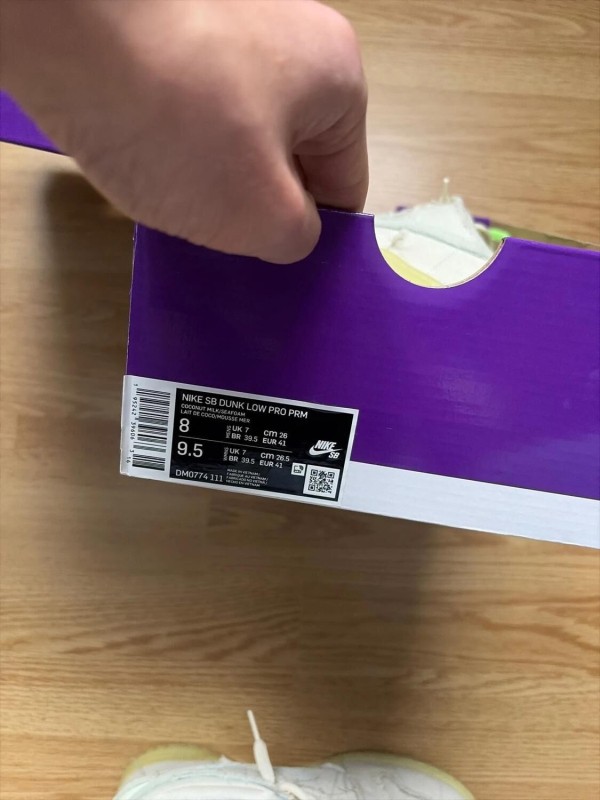 Nike SB Mummy 2