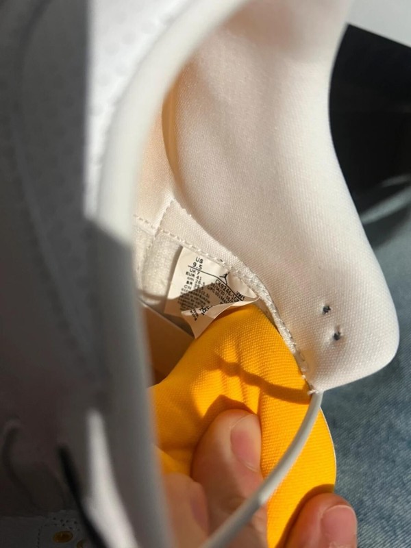 Nike Air Jordan 3 Laser Orange 2