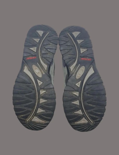 Salomon Pisco Low taille 43 1/3