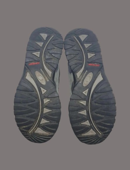 Salomon Pisco Low taille 43 1/3