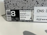 Nike Air Jordan 4 Raptors Drake OVO