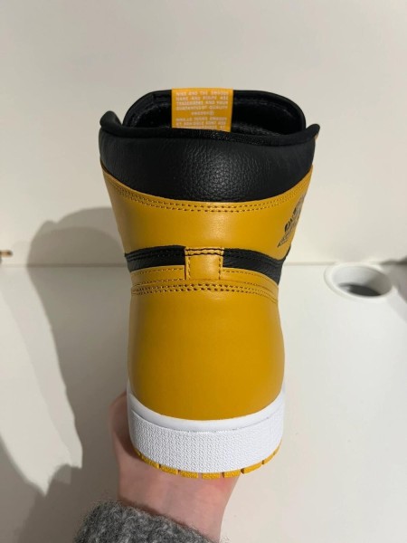Nike Air Jordan 1 High Pollen