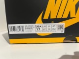 Nike Air Jordan 1 High Pollen