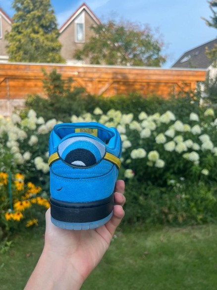 Nike SB dunk Low Powerpuff bubbles