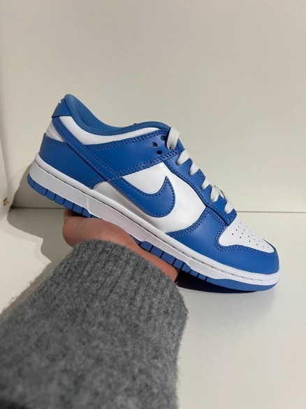 Nike Dunk Low Polar Blue