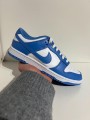 Nike Dunk Low Polar Blue