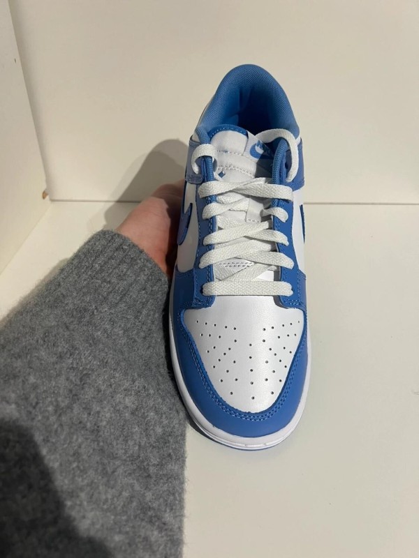 Nike Dunk Low Polar Blue 2