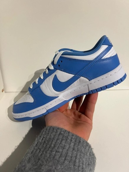 Nike Dunk Low Polar Blue