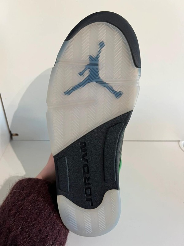 Nike Air Jordan 5 SE Oregon 2