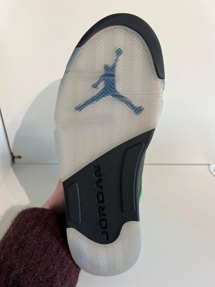 Nike Air Jordan 5 SE Oregon