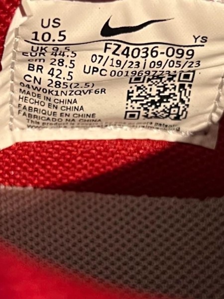 Nike Terminator low UNLV