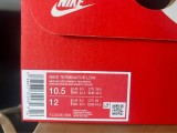 Nike Terminator low UNLV