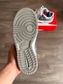 Nike Dunk Low - Silver Surfer