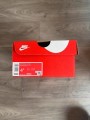 Nike Dunk Low - Silver Surfer