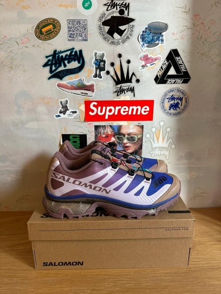 Salomon XT-4 OG Portabella purple/ violet