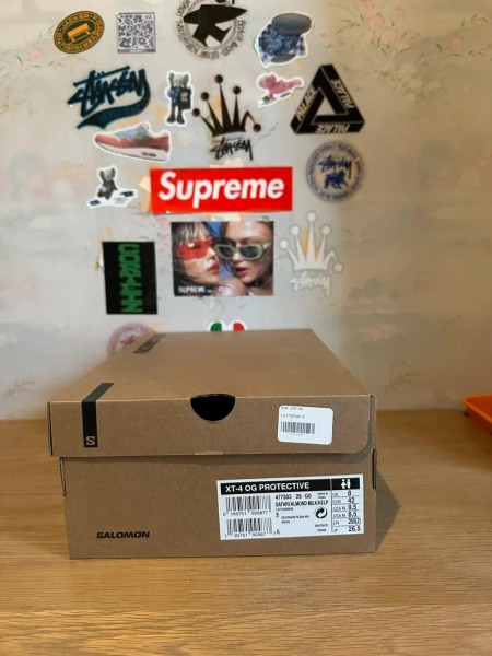 Salomon XT-4 og beige