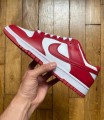 Nike dunk low usc DD1391-602