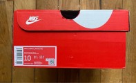 Nike dunk low usc DD1391-602