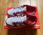 Nike dunk low usc DD1391-602
