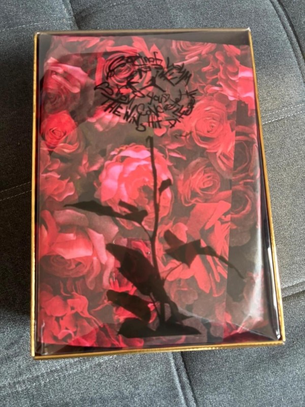 Jordan 3 retro Teyana Taylor "Concrete Rose" 38 2