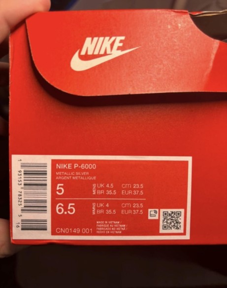 Nike P-6000 metallic silver taille 37,5