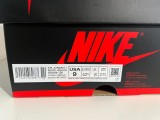 Nike air jordan 1 high light smoke grey