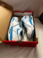 Nike air flight 89 low