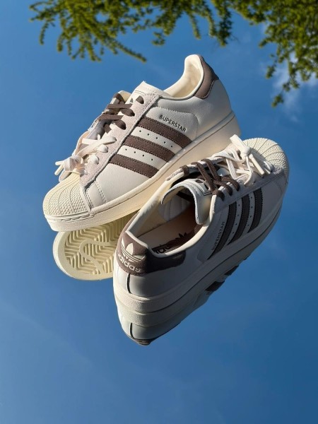Adidas superstar latte x molly-mae - taille 40