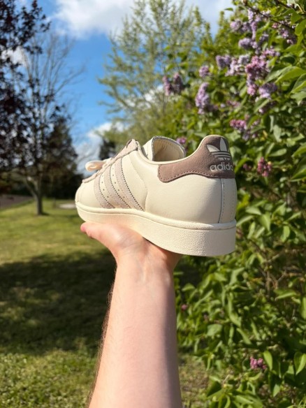 Adidas superstar latte x molly-mae - taille 40