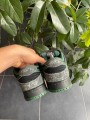 Nike sb dunk low there skateboards