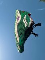 Saucony ProGrid Triumph 4 Fern X Jae Tips - EU 41