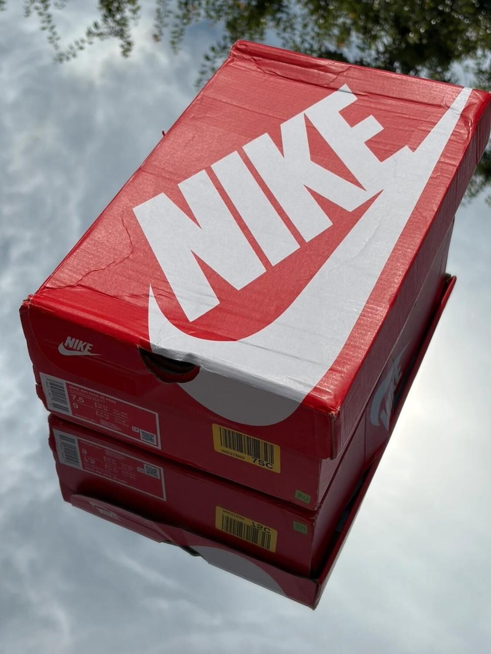 Nike Air Max 95 Houseflies - EU 40,5