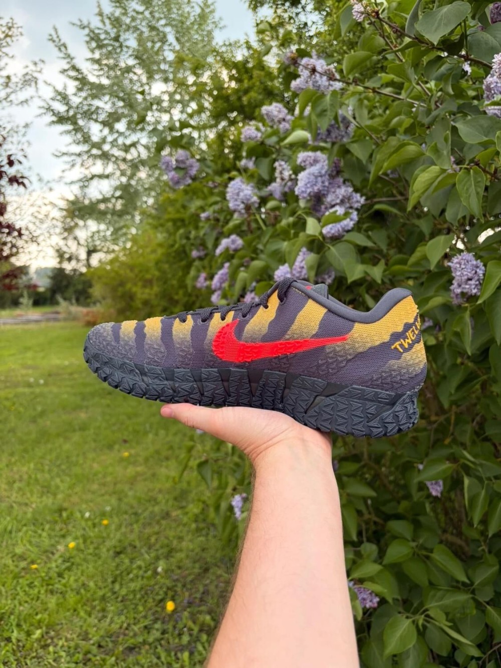 Nike Ja 3 Anthracite X Jurassic Park - EU 45