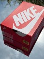 Nike Air Max Plus Tiempo Wolf Grey - EU 40,5
