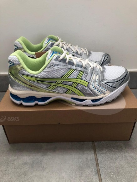 Asics gel kayano 14