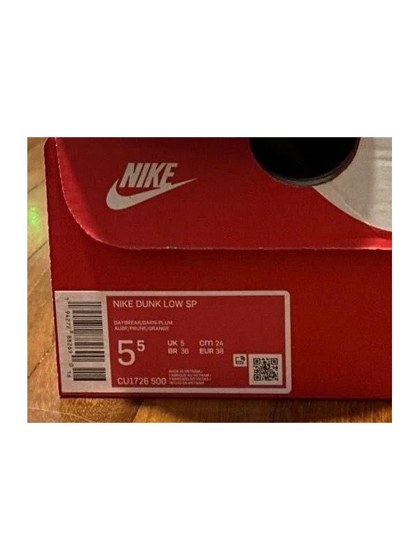 Dunk low plum 2
