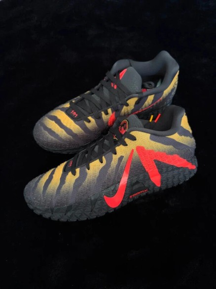 Nike Ja 3 Jurassic Park Anthracite - Taille EU 46