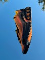 Nike Air Max DN Laser Orange - EU 39