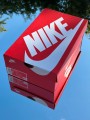 Nike Air Max DN Laser Orange - EU 39
