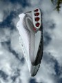 Nike Air Max DN Light Grey - EU 39