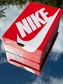 Nike Air Max DN Light Grey - EU 39