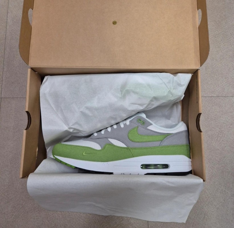Air Max 1 X Patta "Chlorophyll" 2