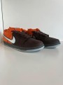 Nike SB Dunk low Muni Fast Pass