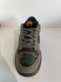 Nike SB Dunk low Skate Camo