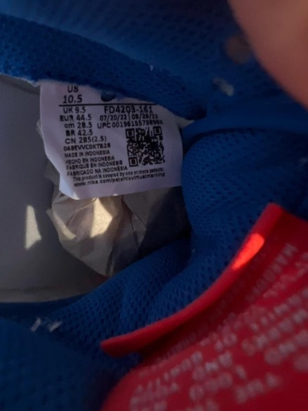 Nike Dunk low Year of the Rabbit White Rabbit