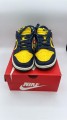 Nike Dunk Low Michigan