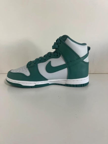 Nike Dunk high Bicoastal (W)