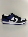 Nike SB Dunk low Court Purple